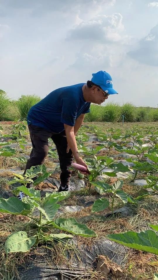 洪森竟徒手劈西瓜？看完又被撒了一把狗粮...（视频）-12.jpg