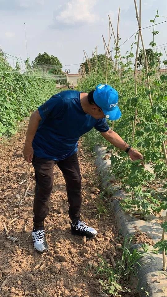 洪森竟徒手劈西瓜？看完又被撒了一把狗粮...（视频）-13.jpg