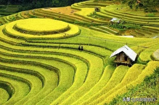 外国海关花式索要小费，只叮中国人吗-7.jpg