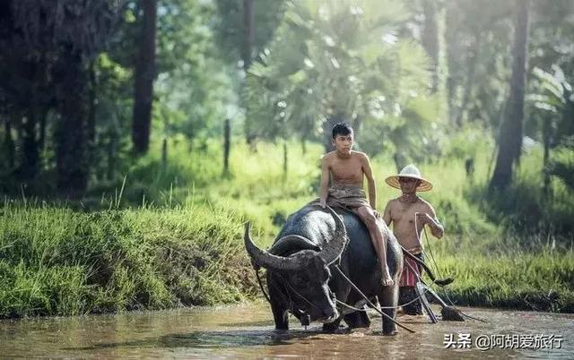 外国海关花式索要小费，只叮中国人吗-8.jpg