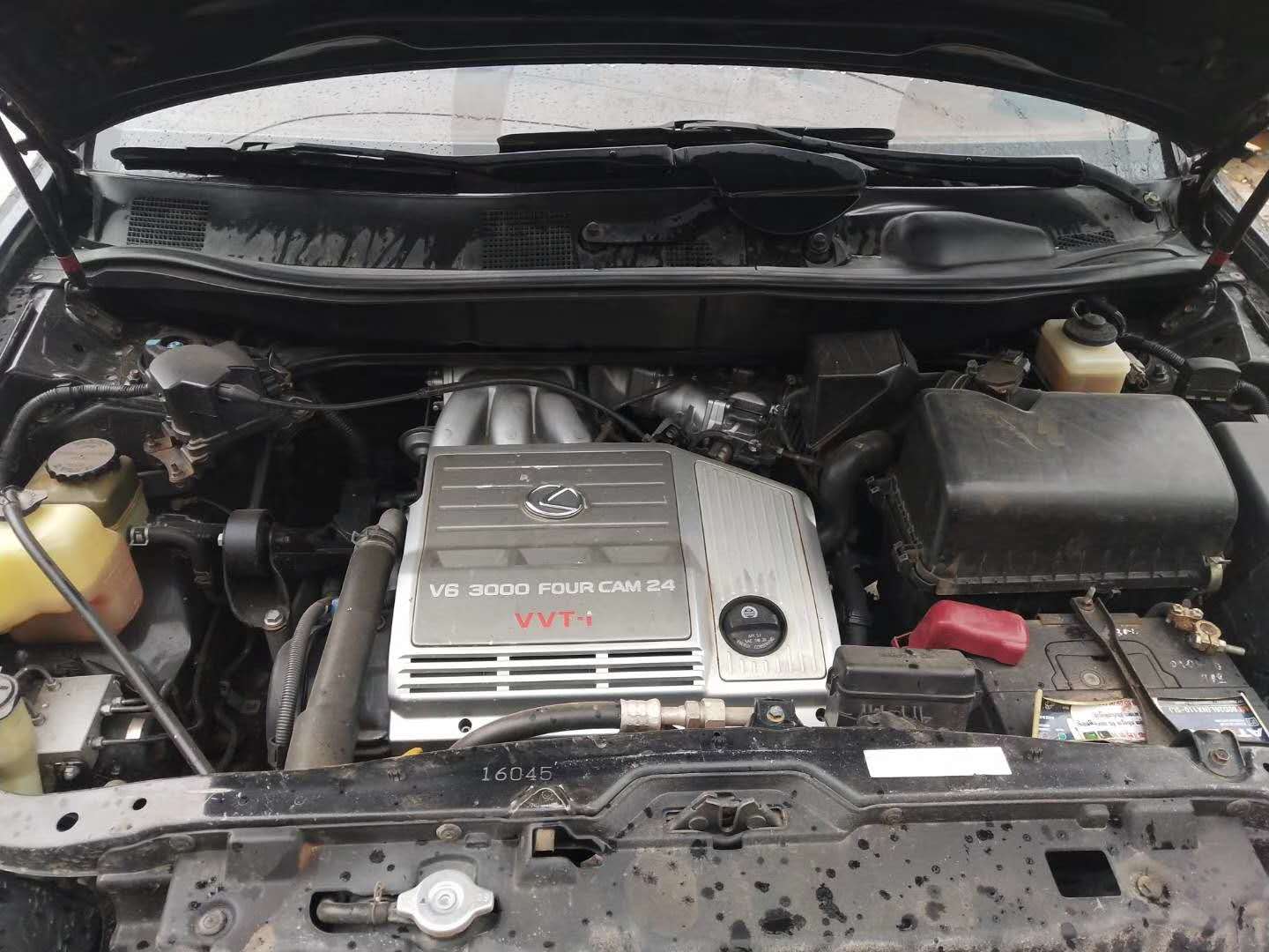 146cf6707ff38d2f3d6bcba307ac49b.jpg