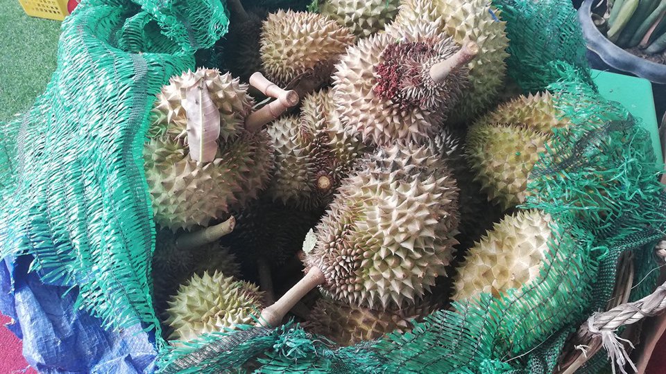 WeChat Image_20190513204829.jpg
