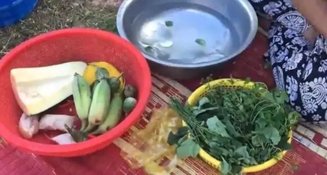 柬埔寨美味——蜥蜴野菜汤，你敢尝一口吗？-3.jpg