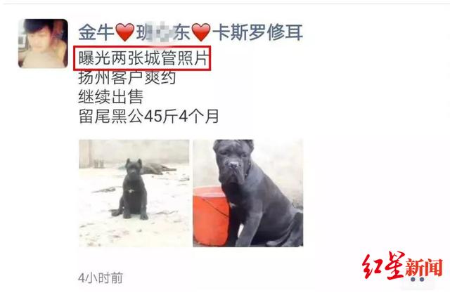 男子给狗取名“城管”“协管”被拘10日，律师这样看……-1.jpg