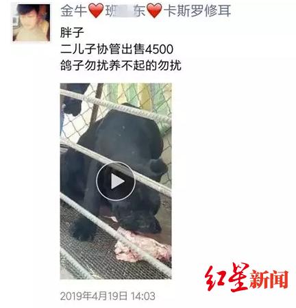 男子给狗取名“城管”“协管”被拘10日，律师这样看……-2.jpg