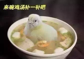 柬埔寨，你这个骗子！-21.jpg