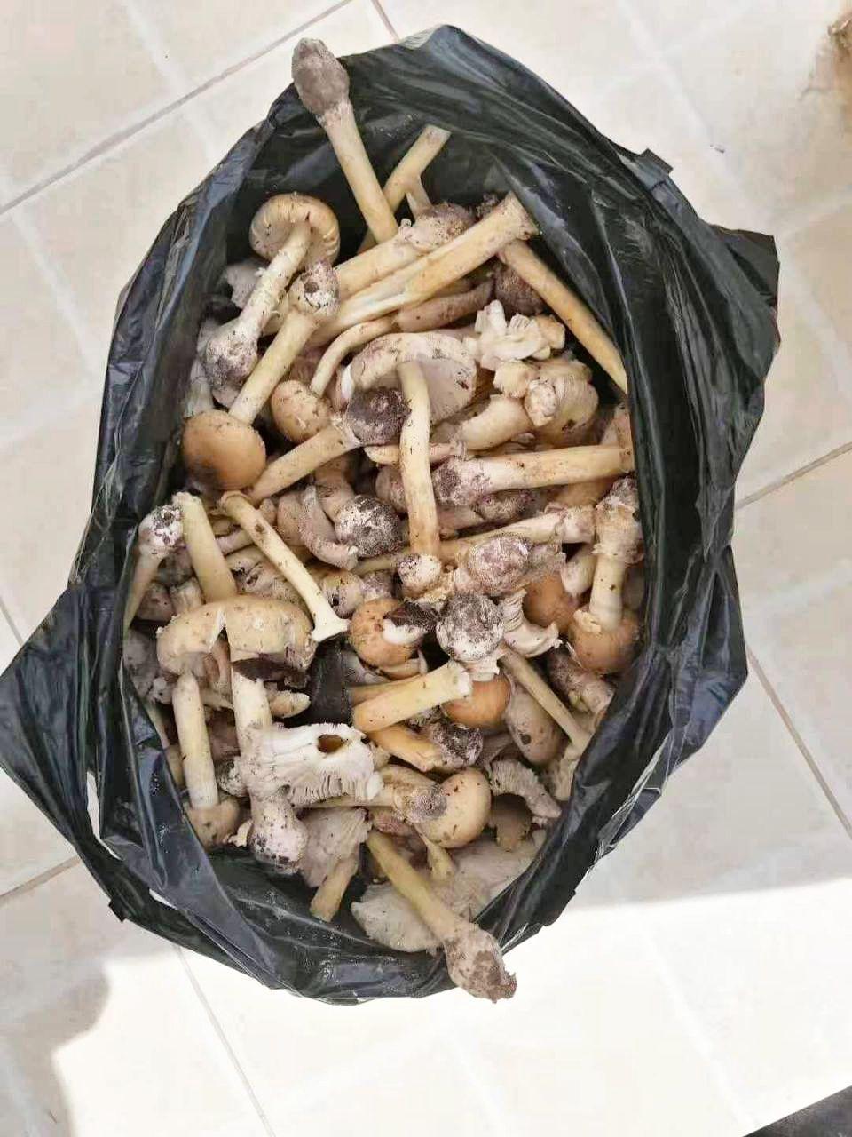 WeChat Image_20190518133925.jpg
