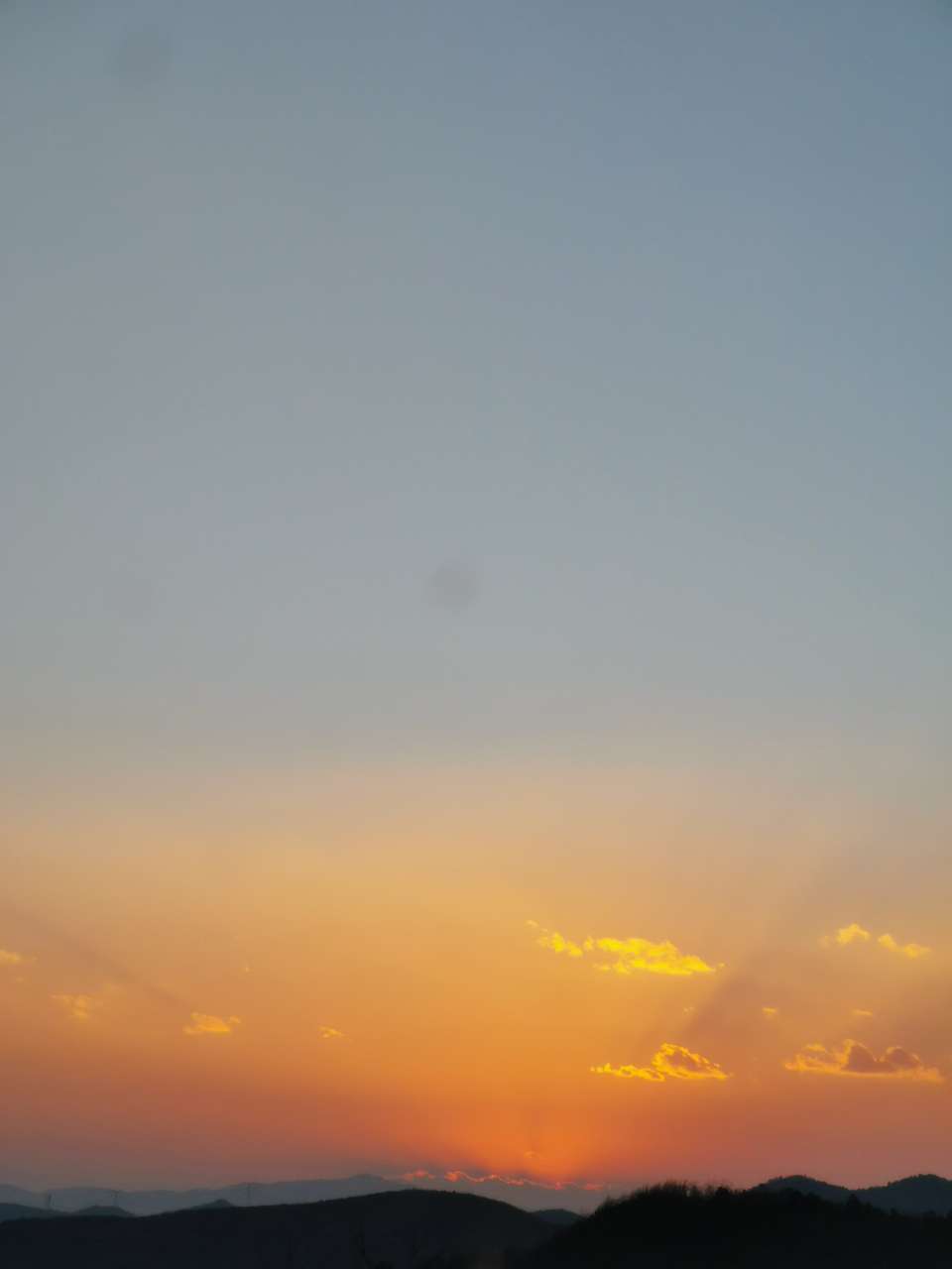 20190518_112949_1558198103595.jpg