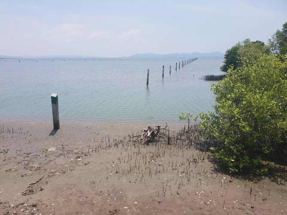 WeChat Image_20190520172649.jpg