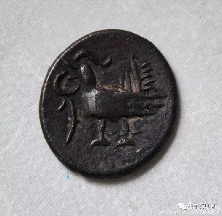 福建省漳州发现早期柬埔寨硬币-5.jpg