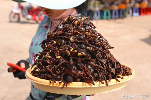 舌尖上的柬埔寨，令人毛骨悚然的美食！-4.jpg