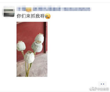 女子发朋友圈配罂粟照片：来抓我呀！ 民警：来了老弟-1.jpg