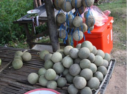 “怪苹果”，一个10块，好多人抢着买，一天赚600-5.jpg