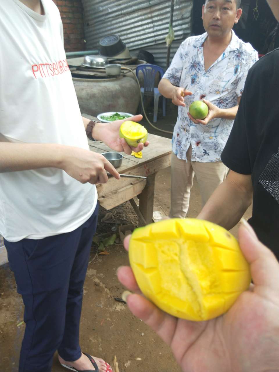 说说我在柬埔寨10天的感受-2.jpg
