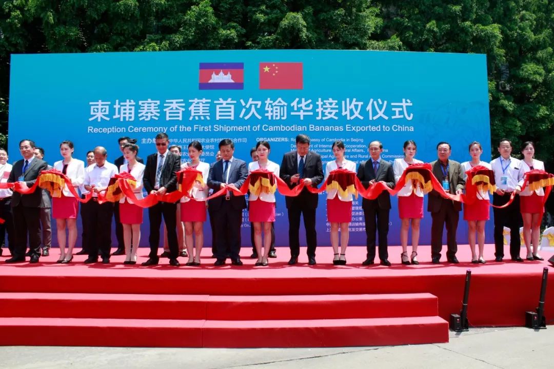 柬香蕉首次输华接受仪式在上海隆重举行-3.jpg