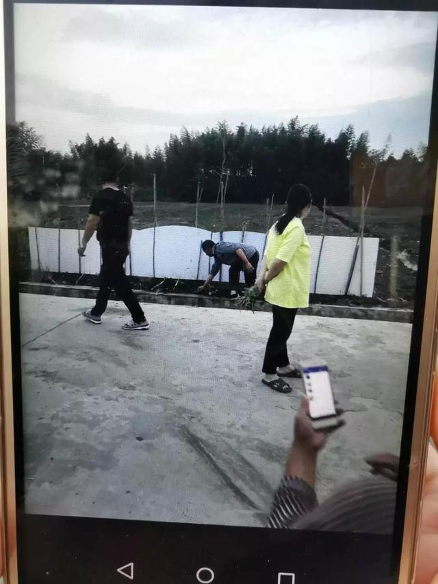 分手后要不回电动车，56岁大伯拔光前女友种的菜-3.jpg
