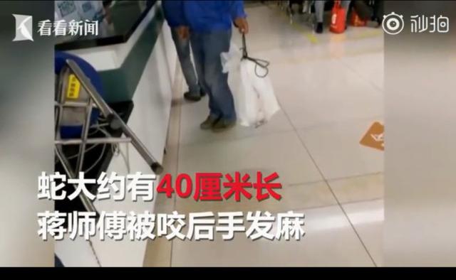 男子被蛇咬伤，带着40厘米长的“凶手”见医生：对症治疗-2.jpg
