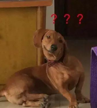 20190608_85851_1559971619400.png