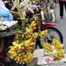 柬埔寨水果、你被宰过多少-5.jpg