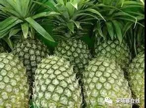 微信图片_20190609113343.jpg