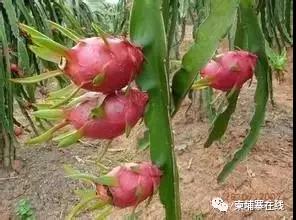 微信图片_20190609113458.jpg