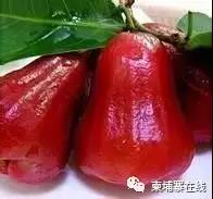 微信图片_20190609113652.jpg