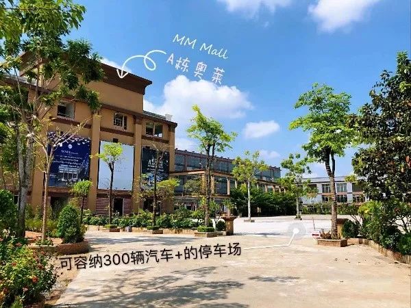 金边首座奥特莱斯十月开幕，现在入驻MMM开启致富之路-2.jpg