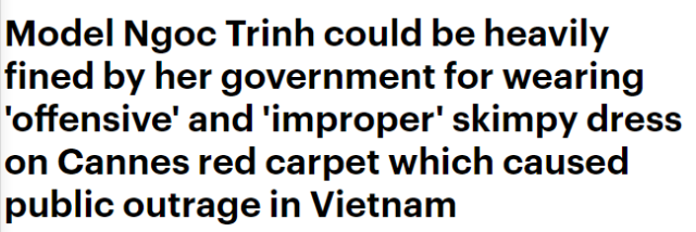越南模特在戛纳走红毯“近乎全裸”，回国将面临重罚-3.jpg