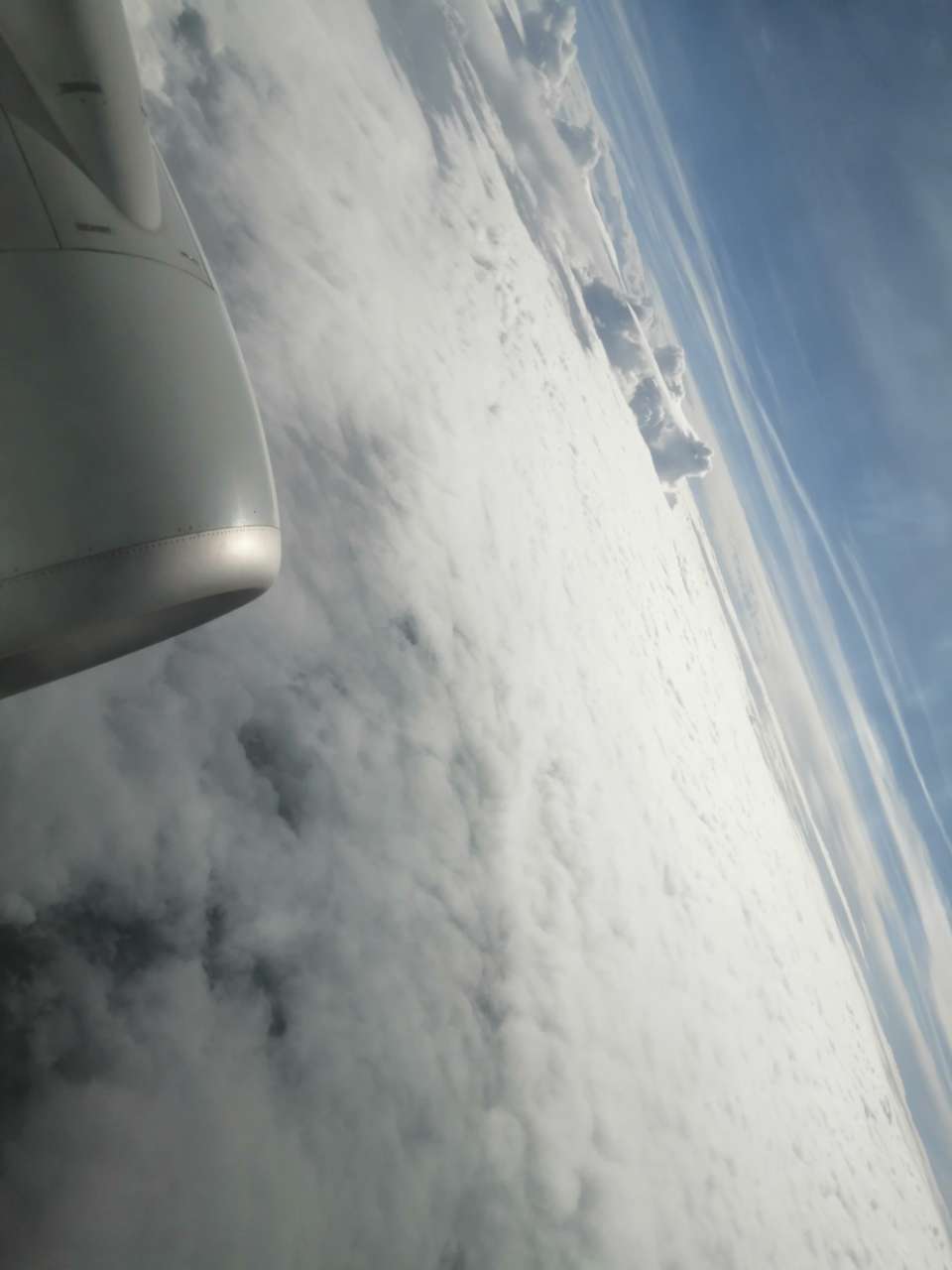 20190612_111811_1560274211004.jpg