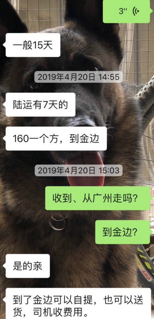2_meitu_6.jpg