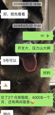 6_meitu_10.jpg