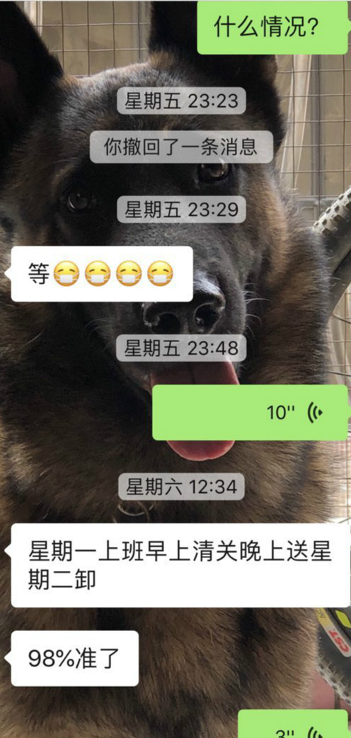 8_meitu_12.jpg