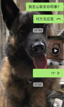 10_meitu_14.jpg