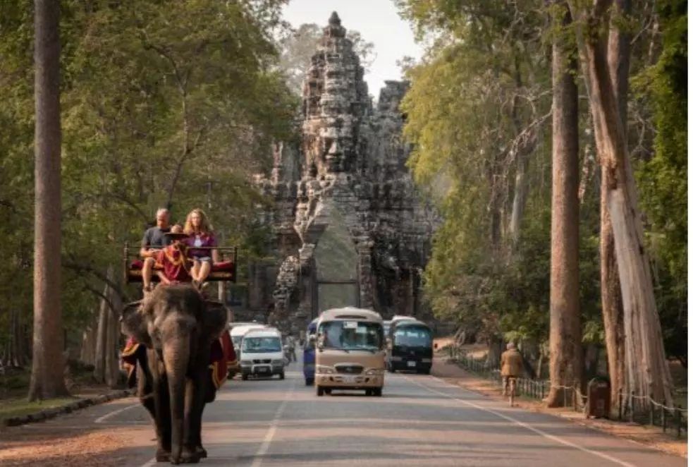 吴哥窟“象载客”将被全面禁止!-1.jpg