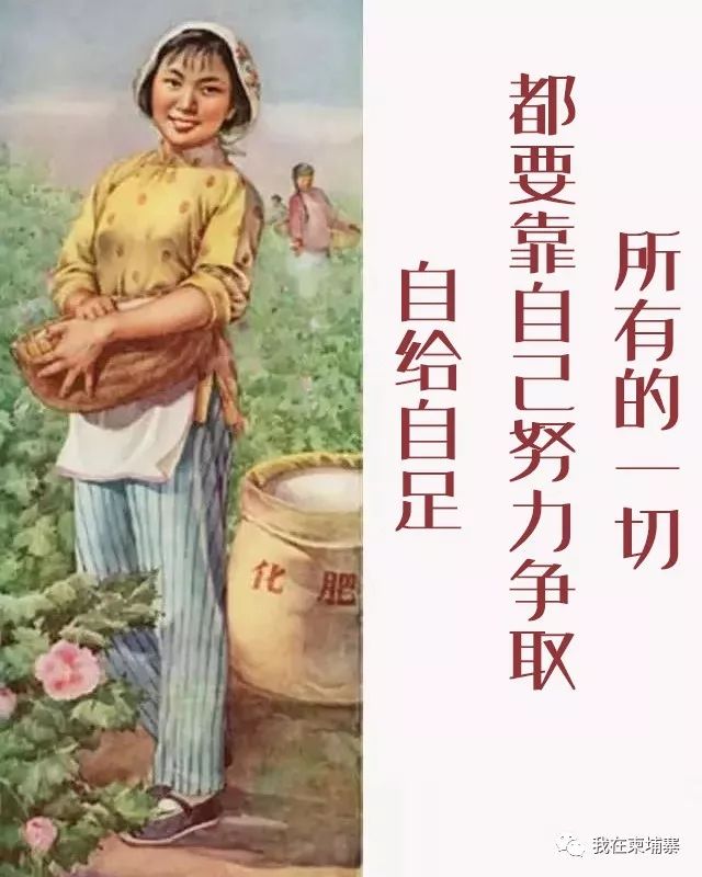一个身在柬埔寨的中国女人，需要面对什么样的生活？-5.jpg