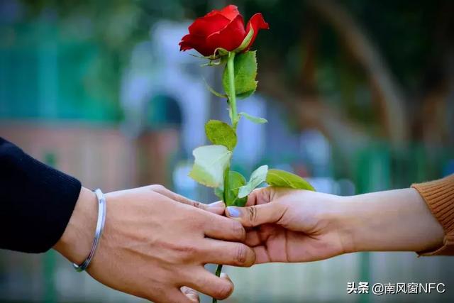 起底东南亚“杀猪盘”：1亿单身女性的人生屠宰场-13.jpg