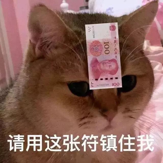 当代精致女孩日常：月入8K，消费3W，账单排到3年后-19.jpg