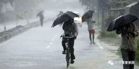 一场暴雨，西港“沦陷”了......-8.jpg