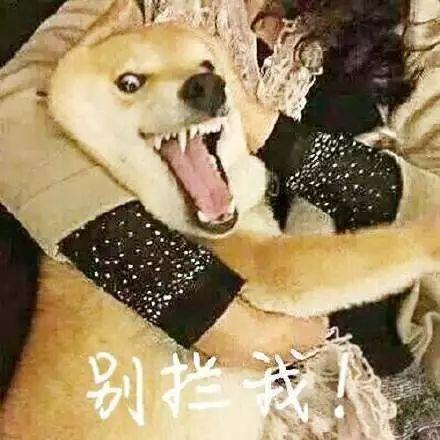 微信图片_20190619092429.jpg