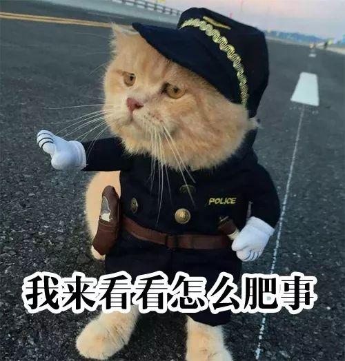 微信图片_20190619092457.jpg