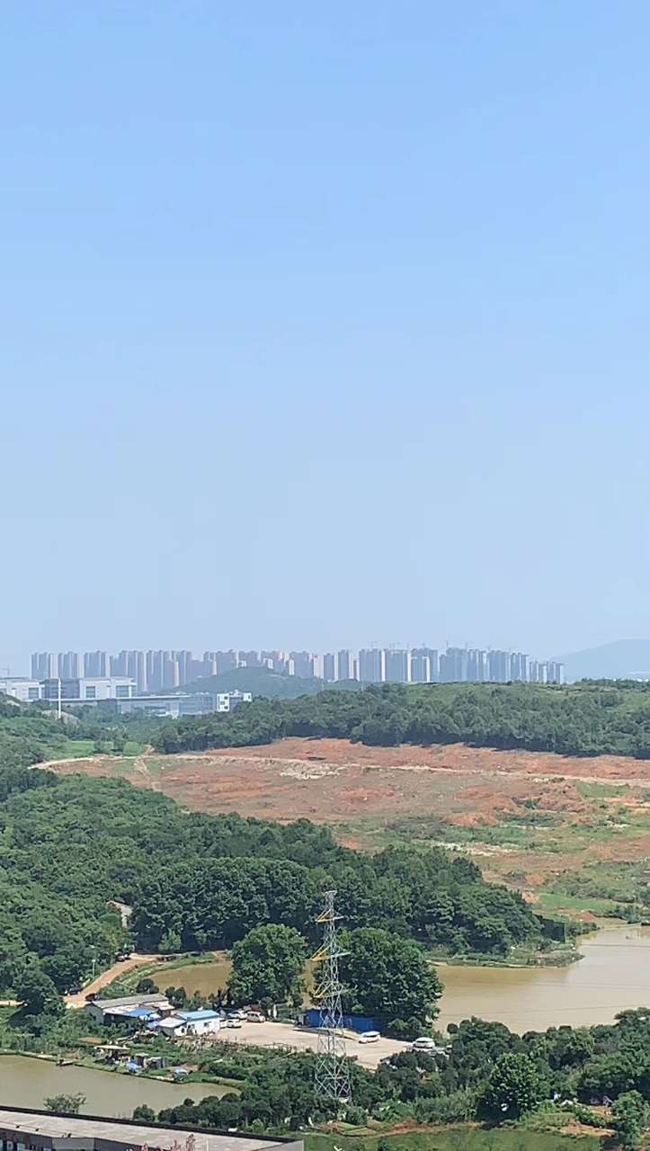 20190627_125443_1561646374991.jpg