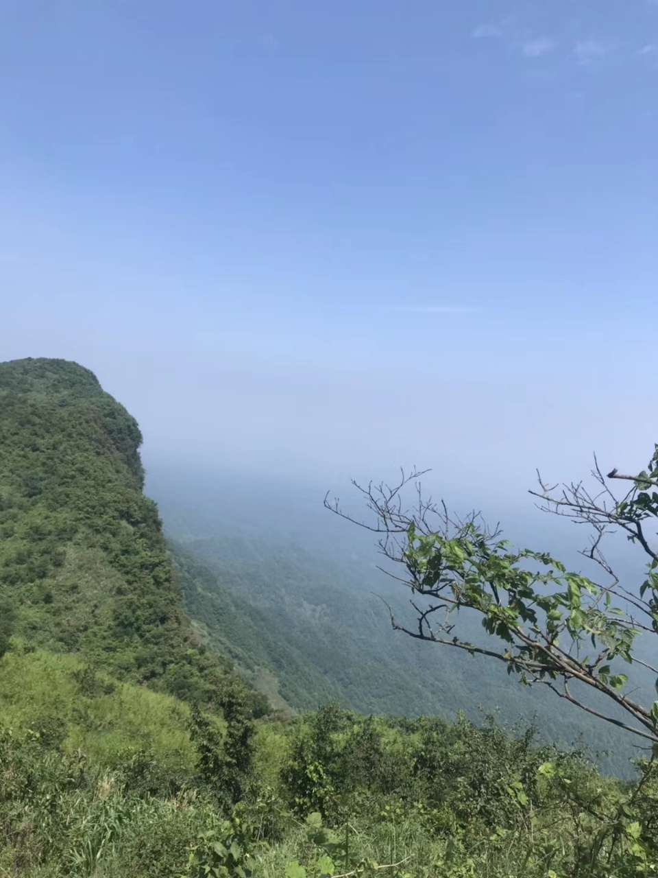 20190627_125443_1561646375069.jpg