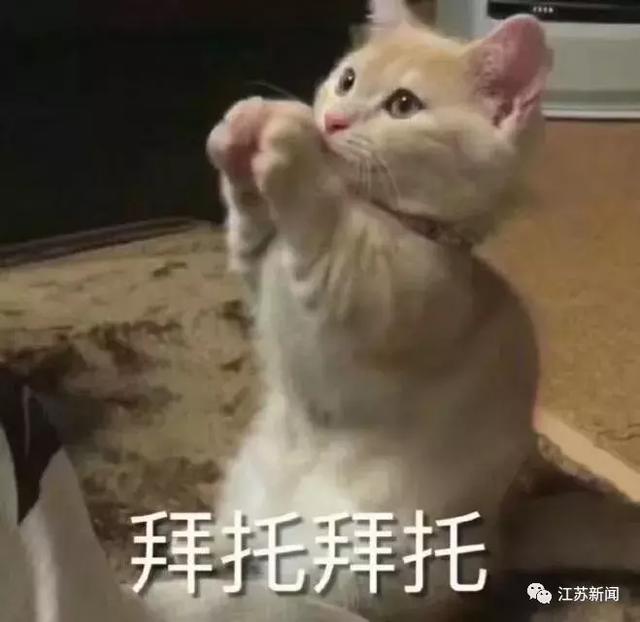 女司机亮出驾照，交警笑了：性别男？-1.jpg