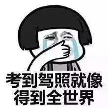 女司机亮出驾照，交警笑了：性别男？-4.jpg