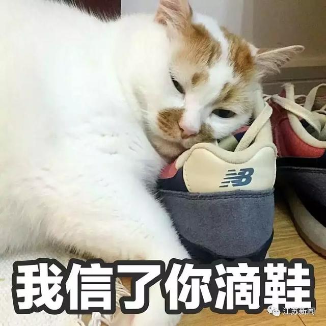 女司机亮出驾照，交警笑了：性别男？-3.jpg