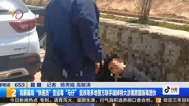 网上许诺快递员每月薪酬2万元，他们相信了 却被骗去运毒-2.jpg