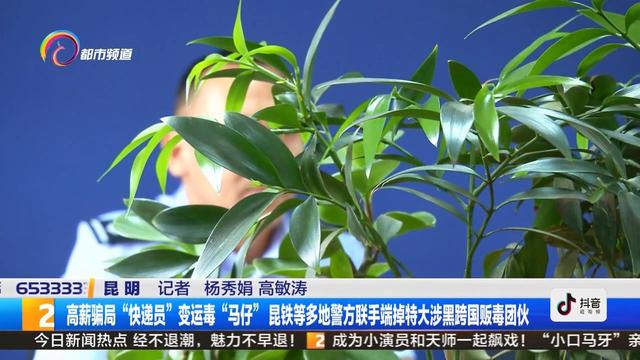 网上许诺快递员每月薪酬2万元，他们相信了 却被骗去运毒-1.jpg