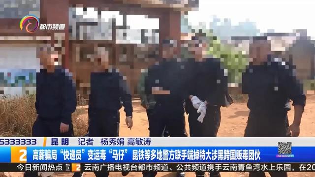 网上许诺快递员每月薪酬2万元，他们相信了 却被骗去运毒-8.jpg