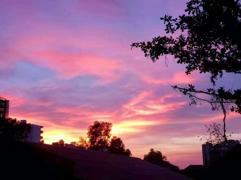 20190704_102410_1562217340127.jpg