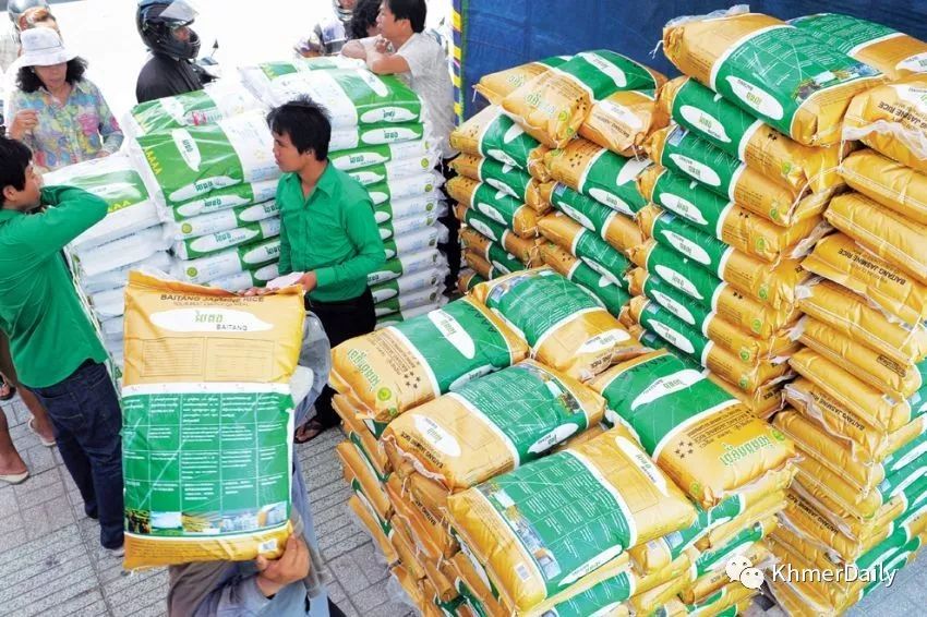 上半年柬埔寨出口28万吨大米-1.jpg